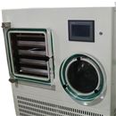 原位冷冻干燥机   普通型（硅油加热）