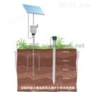 管式土壤水分测量仪