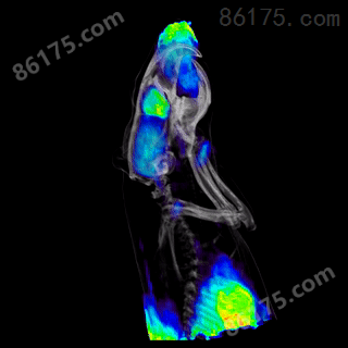 法国inviscan小动物PET/CT活体成像