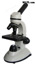 XSD-SM3L学生显微镜，XSD-SM3L显微镜价格