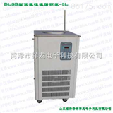 DLSB型-5L低温恒温循环泵